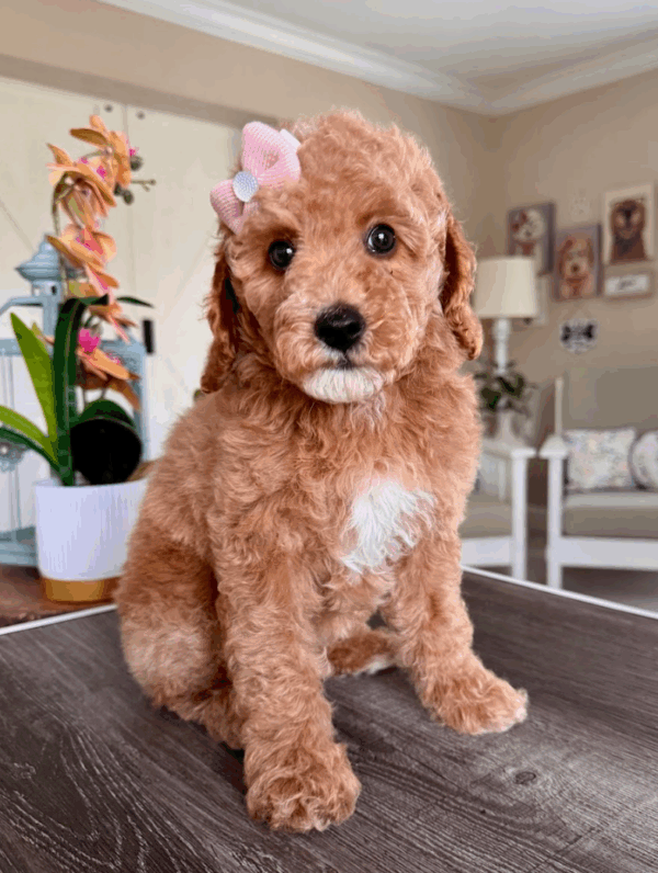 Nora